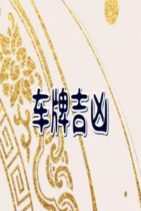 車牌號(hào)與屬相吉兇 屬蛇的車牌吉利字母