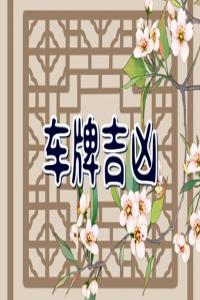 車牌號(hào)什么尾數(shù)最吉利 大吉大利的車牌號(hào)碼推薦