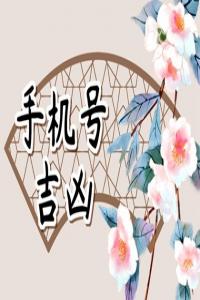手机号码选什么数字好  手机号码1至9数字含义