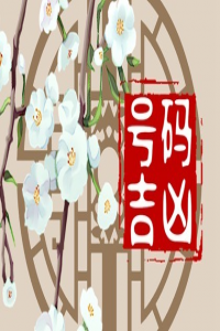 车号数字全是奇数  车号选择讲究平衡