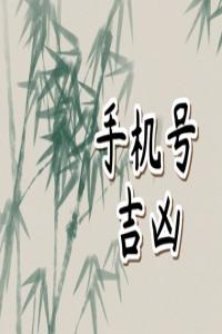 怎样查手机号的吉和凶	12生肖适合手机号考虑五行