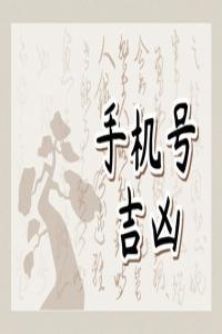 手机尾号为什么不能为9  吉利尾号推荐