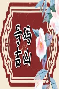 车牌是不是不能挂孩子生日	吉利车牌字母