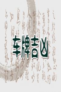 车牌号001到009哪个好	大吉大利的车牌号码