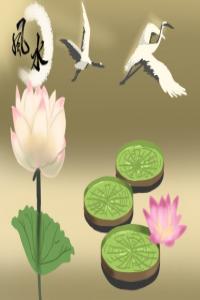 客廳放什么植物好風水又好養(yǎng) 有哪些推薦