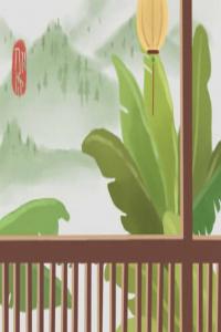 客廳適合養(yǎng)什么花和植物好風水 還可以改善環(huán)境