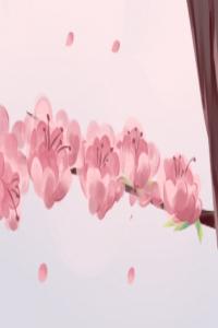 桃花放在客廳象征什么 有何擺放禁忌
