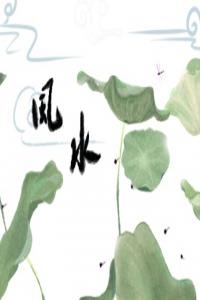 厨房放什么植物旺财 还可以带来好风水