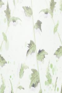 住什么房子會(huì)讓你險(xiǎn)象環(huán)生？