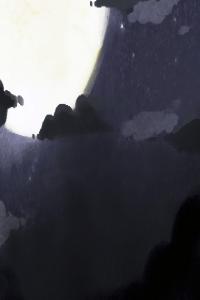 為什么醫(yī)院面前一般不種過于繁盛喜陰的植物