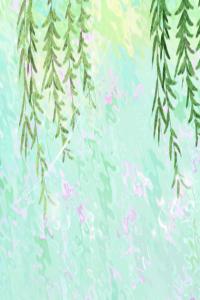 種植虎皮蘭能助你改善財(cái)運(yùn)嗎