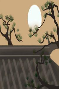 家居風水 養(yǎng)什么植物聚財