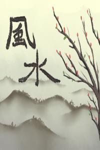 客廳放什么植物旺財開運
