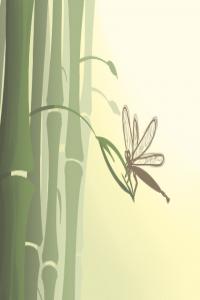 植物在風(fēng)水中的作用有什么