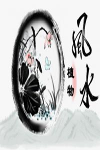 增加官運的植物 如何選擇和擺放