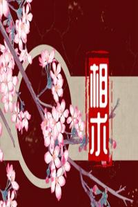 女人面相講解 下巴命運(yùn)事業(yè)福祿