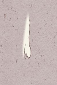 女人腳板痣相大全圖解 命格大富大貴