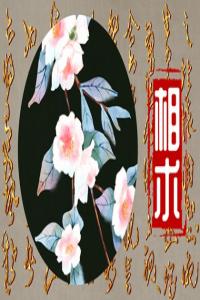 痣長在哪里有錢 3顆發(fā)財痣