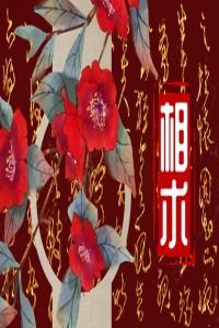 富胎記腰里藏是什么意思 人生精彩事業(yè)平穩(wěn)