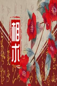 男人的十種富貴面相圖解 雙眉細(xì)柔貴人多