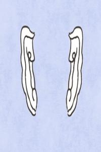 男孩有軍之痣代表什么 責(zé)任心強(qiáng)對待問題細(xì)心