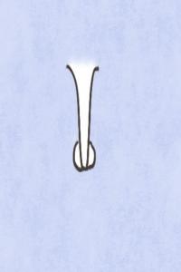 男生的鼻子哪種最帥 希臘鼻運(yùn)勢(shì)不錯(cuò)