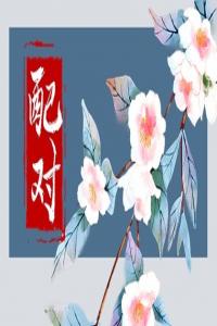 經濟適用男適配你嗎 如何來看匹配類型