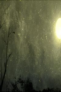 影響婚姻的神煞有哪些 八字日柱犯孤鸞煞的人