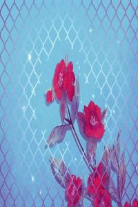 五行屬木和屬金的好不好 命運(yùn)發(fā)展