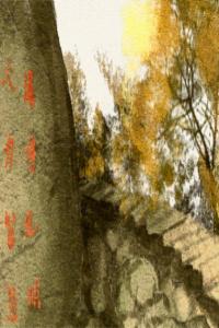 結(jié)婚一定要八字合的來 最適合嗎