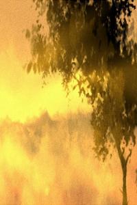 戊丑日柱解析及特点 戊丑日柱爱情观如何