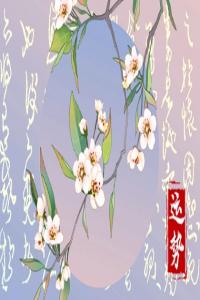 2026年運(yùn)氣最旺的三大生肖 2024年走大運(yùn)的屬相