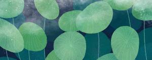 夢中發(fā)現(xiàn)自己處在危險中什么意思 夢中發(fā)現(xiàn)自己處在危險中預(yù)示什么