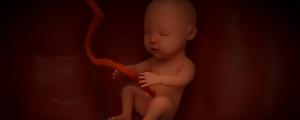 梦见胎儿是什么意思 梦见胎儿有啥征兆