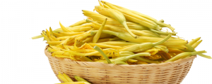 夢見黃花菜預示什么 夢到黃花菜好不好