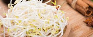夢(mèng)到豆芽是什么意思 夢(mèng)到豆芽有什么特殊寓意