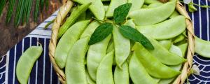 夢見摘菜預(yù)示什么 夢見摘菜是什么意思