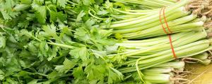夢(mèng)見菜市場(chǎng)買菜有什么寓意 夢(mèng)見蔬菜有什么預(yù)兆