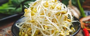 夢見豆芽是什么意思 夢見豆芽意味著什么