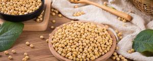 夢見黃豆是什么意思 夢見黃豆是什么征兆