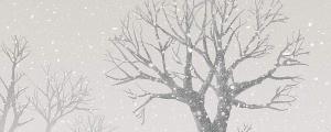 夢(mèng)到雪中開花什么意思 夢(mèng)到雪中開花代表什么預(yù)兆