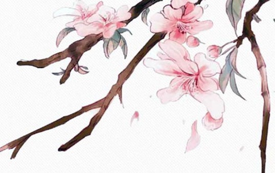 车牌尾号5有什么说法,最新和睦幸运号码盘点