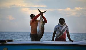 男人做夢(mèng)抓魚是什么意思 男人做夢(mèng)抓魚有什么預(yù)兆