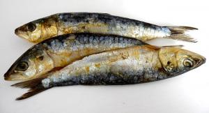 夢見鯡魚是什么意思 夢見鯡魚有什么預兆