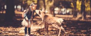 孕婦夢見動物是什么意思 夢見動物預(yù)兆什么