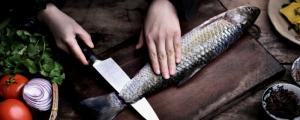 男人夢(mèng)見(jiàn)魚(yú)是什么意思 男人夢(mèng)見(jiàn)魚(yú)預(yù)兆什么