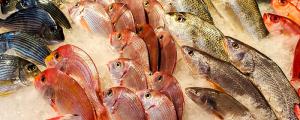 夢見別人給我魚是什么意思 夢見別人給我魚預(yù)示什么