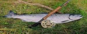 男人夢(mèng)見釣到一條大魚是什么意思 男人夢(mèng)見釣到一條大魚好不好