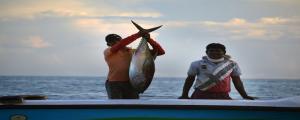 男人夢見在河里抓魚什么意思 男人夢見在河里抓魚好不好