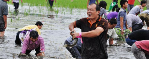 男人夢見抓了很多魚什么意思 男人夢見抓了很多魚有什么征兆